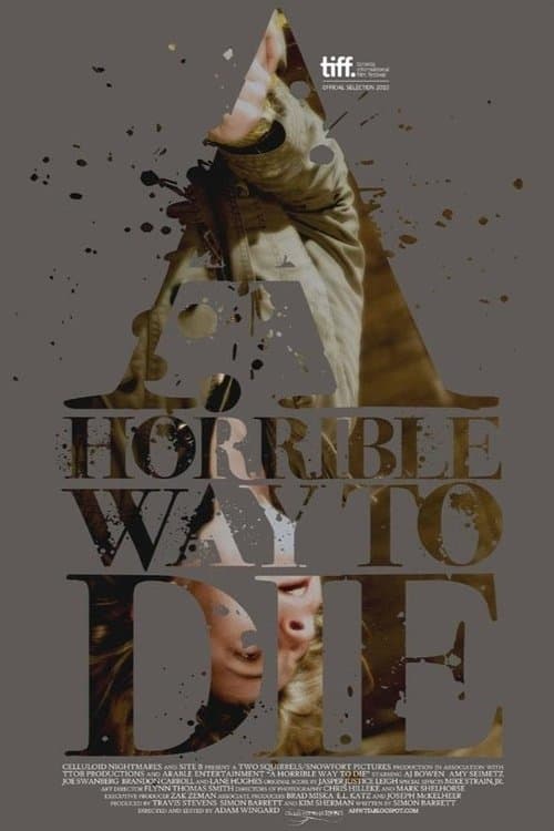 A Horrible Way to Die (2010) poster