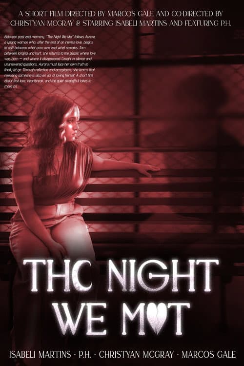 A Noite Em Que Nos Conhecemos (2025) poster