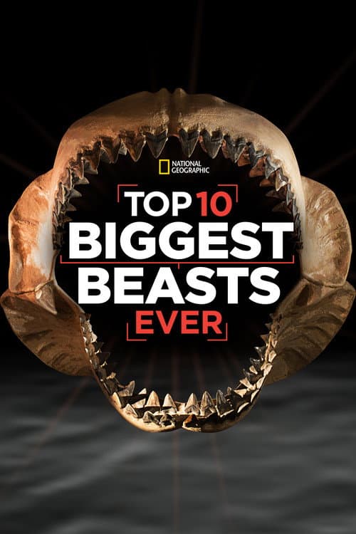 Top 10 Grootste Beesten Ooit (2015) poster