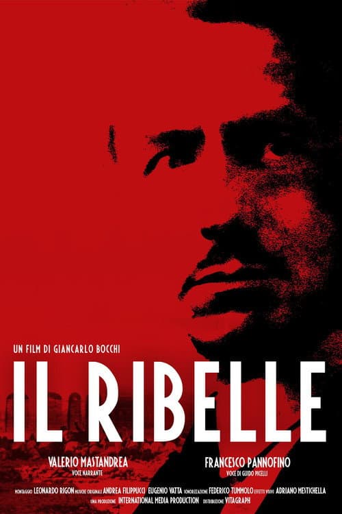 Il Ribelle (2011) poster