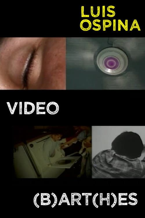 Video (B)art(h)es (2003) poster