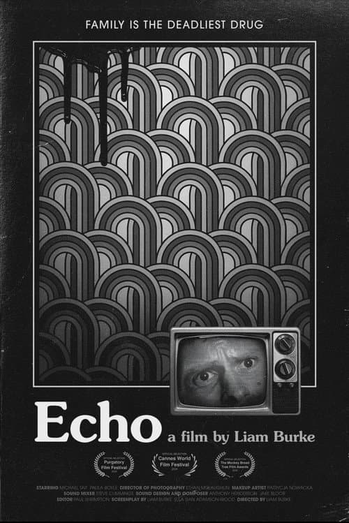 Echo (2024) poster