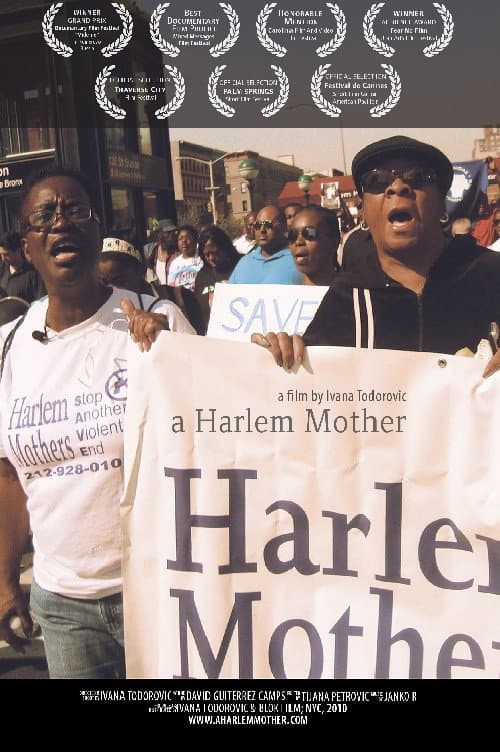 A Harlem Mother (2009) poster