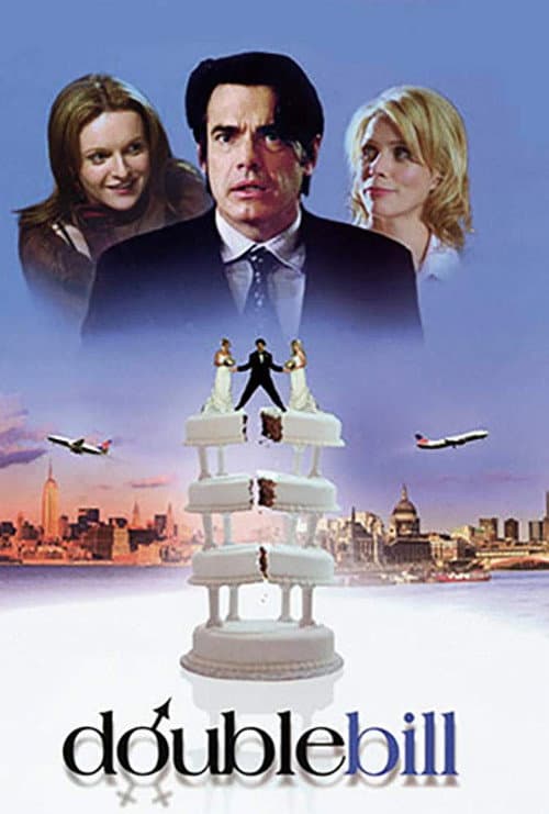 A Tale of Two Wives (2003) poster