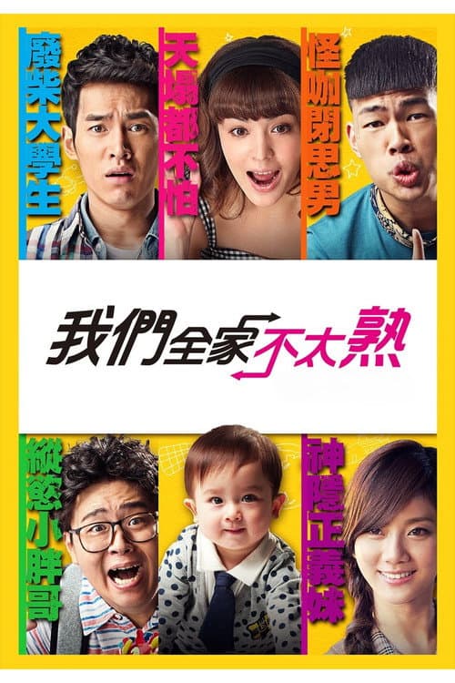 我們全家不太熟 (2015) poster