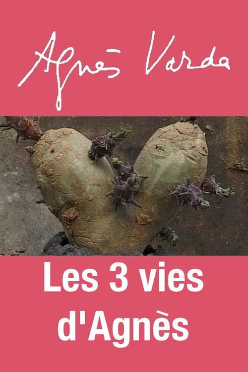 Les 3 vies d'Agnès (2012) poster