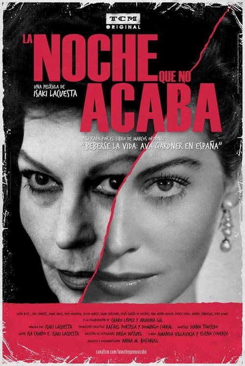 La noche que no acaba (2010) poster