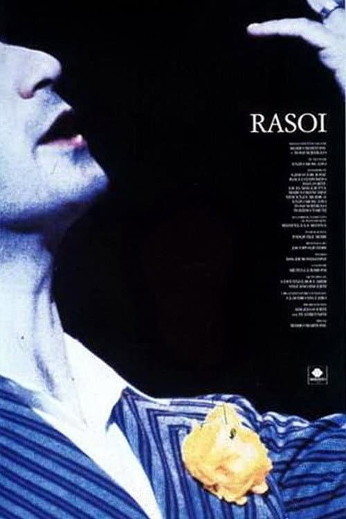 Rasoi (1993) poster