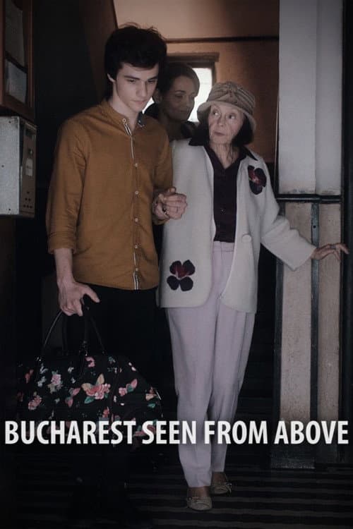 Bucureștiul văzut de sus (2020) poster