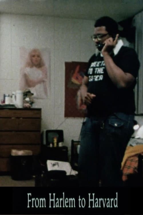 From Harlem to Harvard (1981) poster