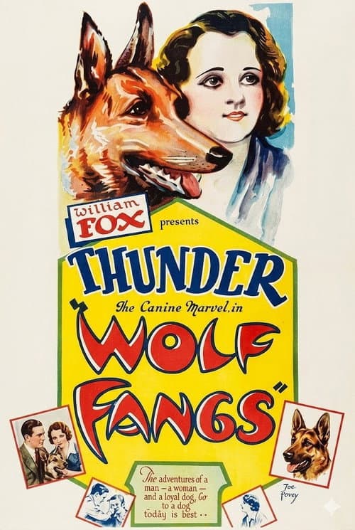 Wolf Fangs (1927) poster