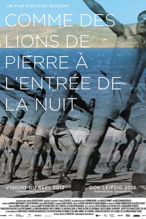 Comme des lions de pierre à l'entrée de la nuit (2012) poster