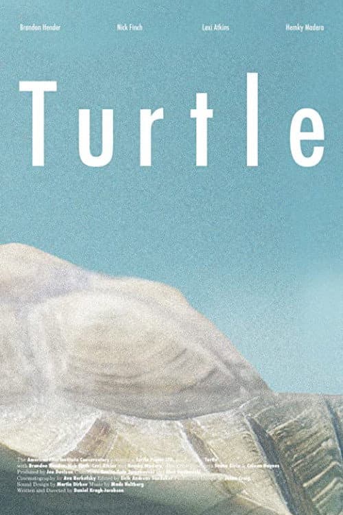 Turtle (2014) poster