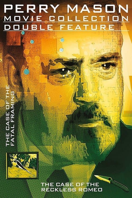 Perry Mason: The Case of the Fatal Framing (1992) poster