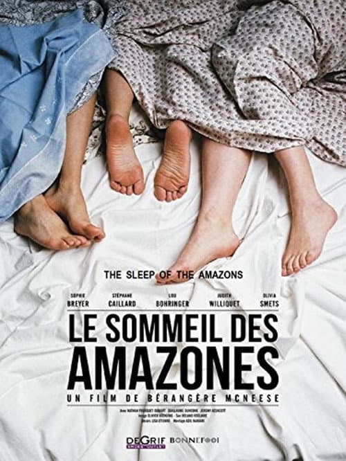 Le sommeil des Amazones (2015) poster