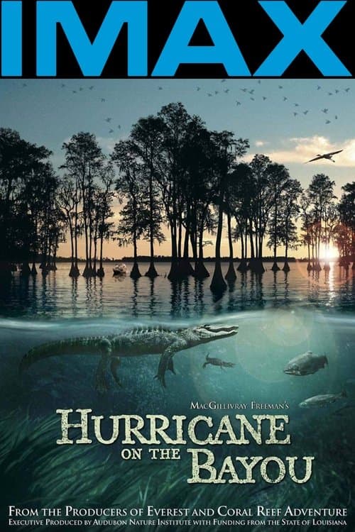 Hurricane on the Bayou (2006) poster