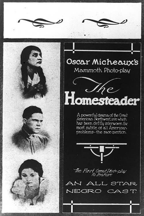The Homesteader (1919) poster