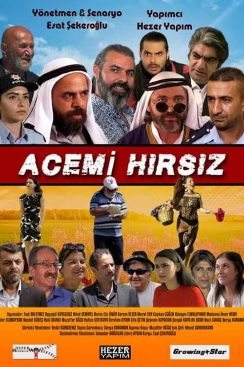 Acemi Hırsız (2018) poster