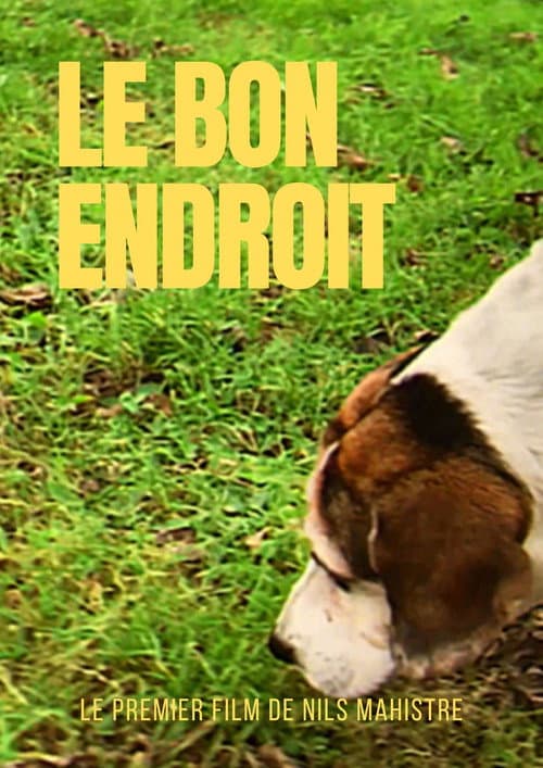 Le bon endroit (2024) poster