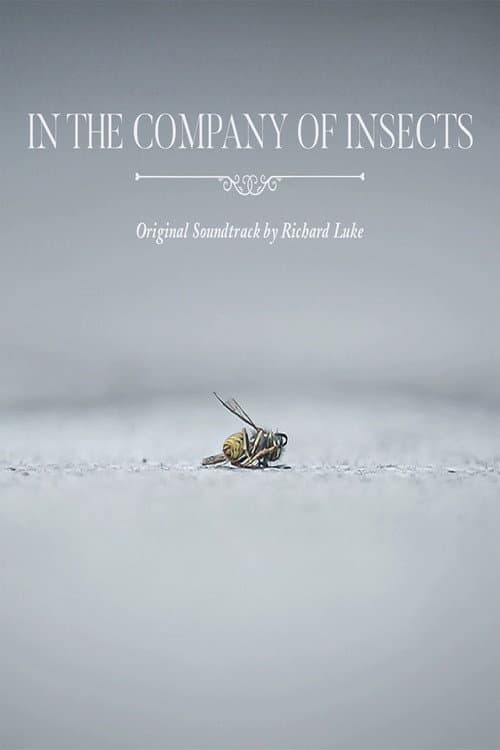 In the Company of Insects (2020) poster