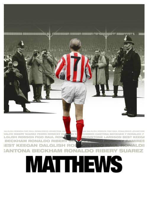 Matthews (2017) poster