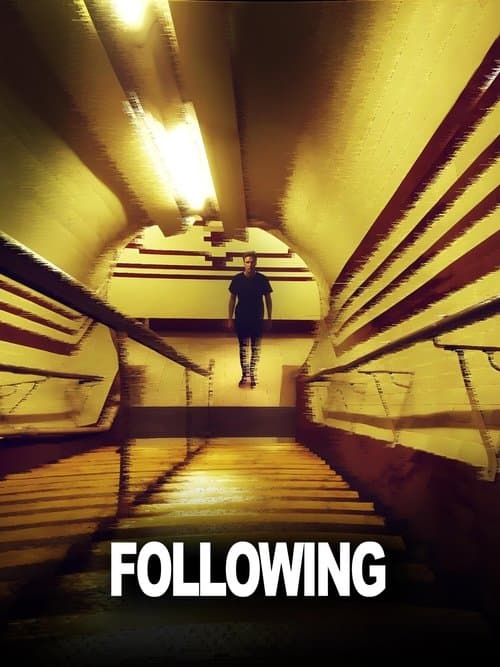 Following (2024) poster