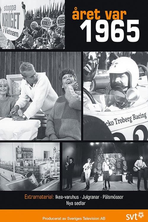 Året var 1965 (2015) poster