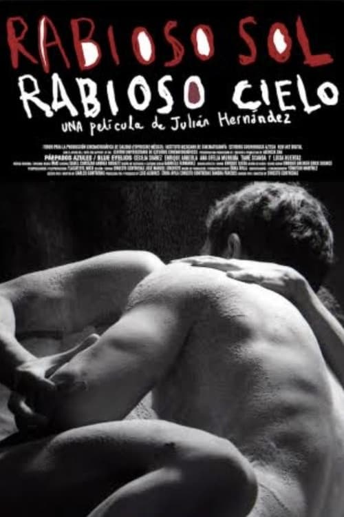 Rabioso sol, rabioso cielo (2009) poster