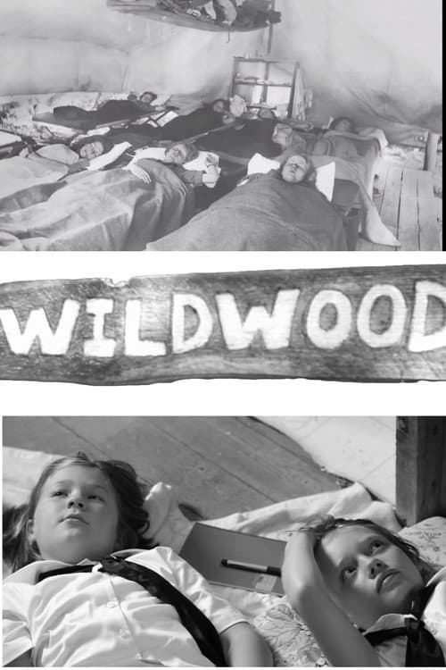 Wildwood (2014) poster