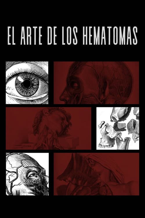 El Arte De Los Hematomas (2025) poster