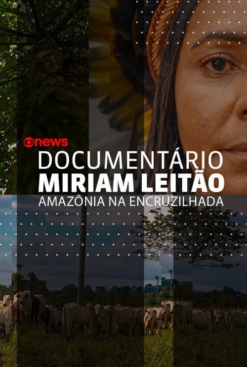 Amazônia na Encruzilhada (2022) poster