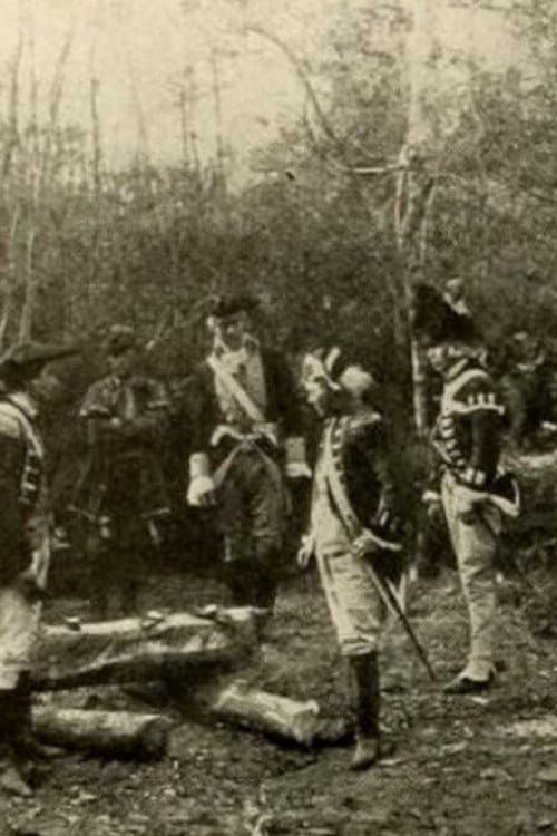 The Swamp Fox (1914) poster