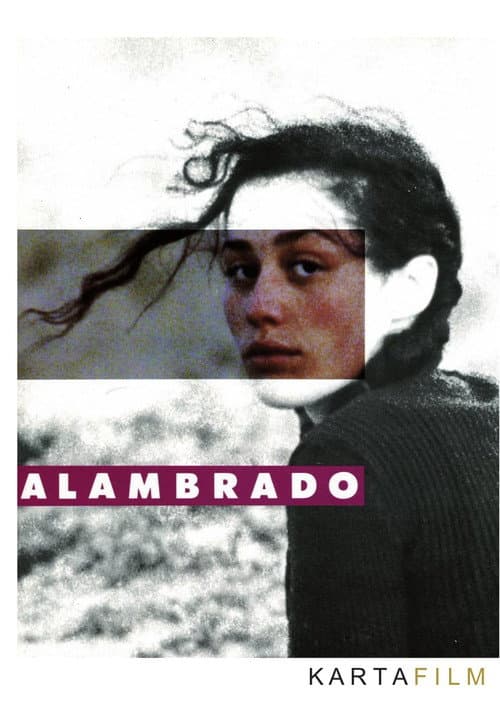 Alambrado (1991) poster