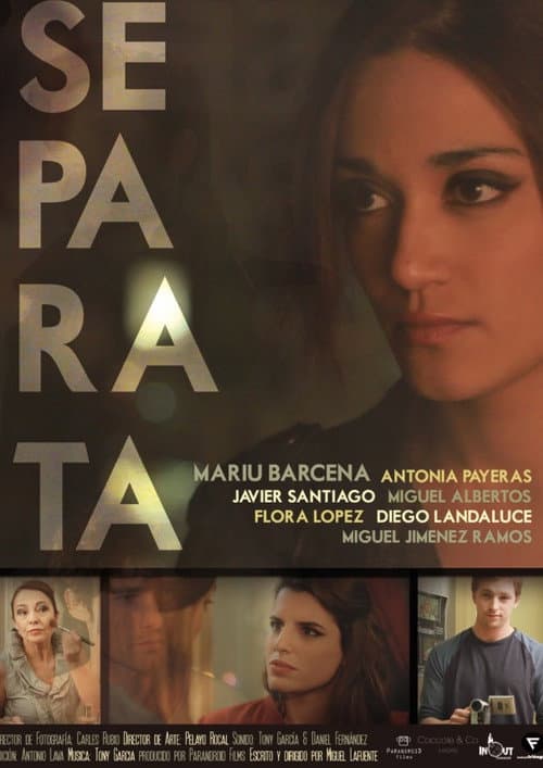 Separata (2013) poster