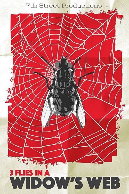 3 Flies in a Widow's Web (2016) poster
