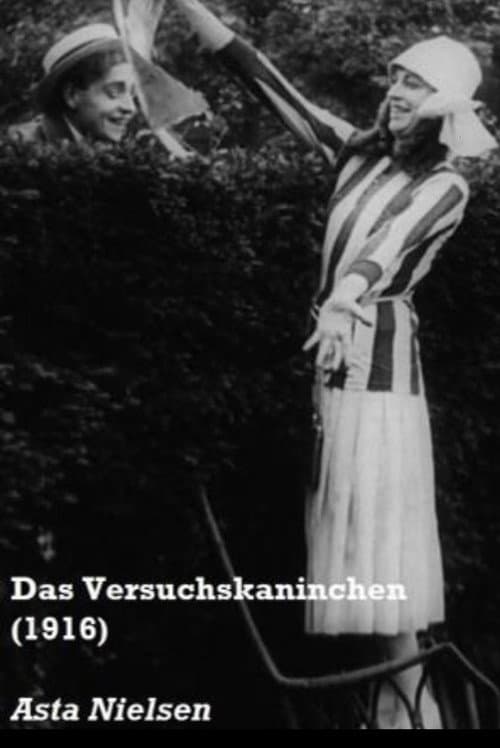 Das Versuchskaninchen (1916) poster