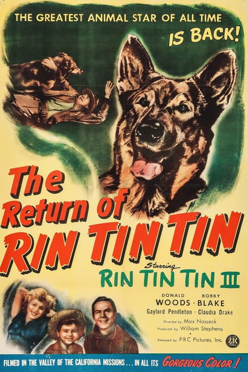 The Return of Rin Tin Tin (1947) poster