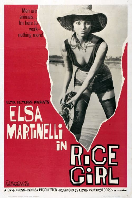 La risaia (1956) poster