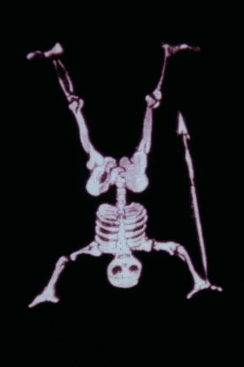 Les lanternes magiques (1980) poster