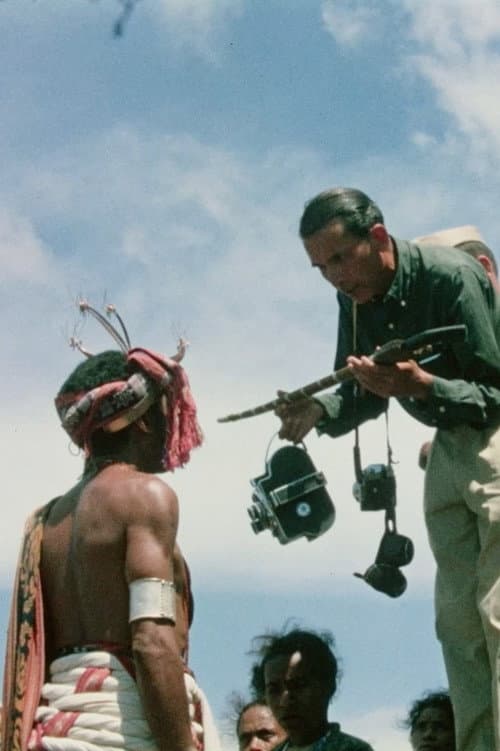 O Voo do Crocodilo - O Timor de Ruy Cinatti (2024) poster