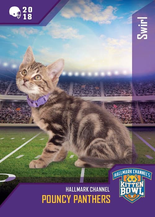 Kitten Bowl VIII Special (2021) poster