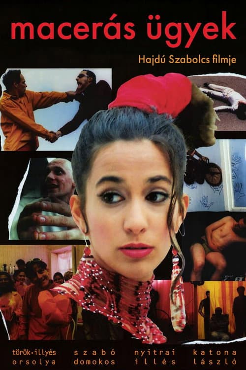 Macerás ügyek (2001) poster