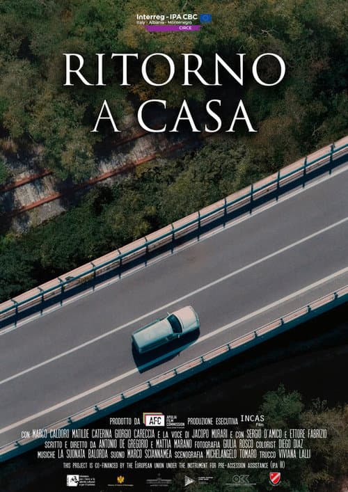 Ritorno a casa (2021) poster