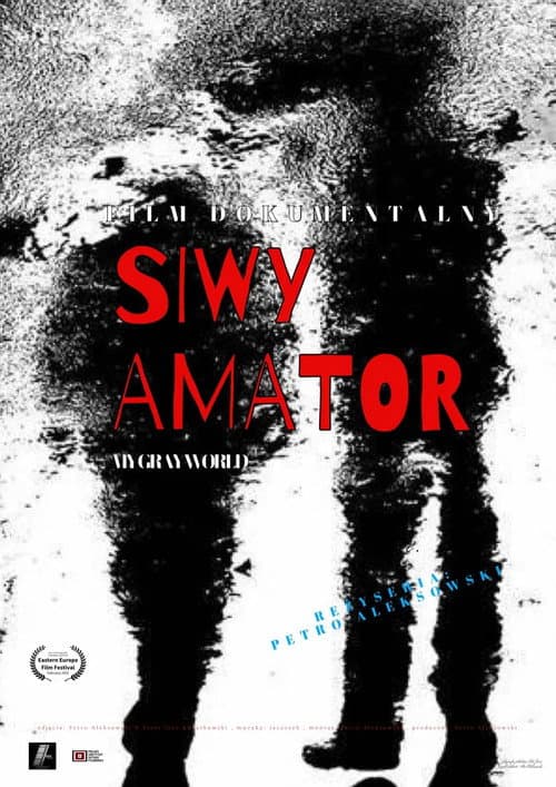 Siwy amator (2025) poster