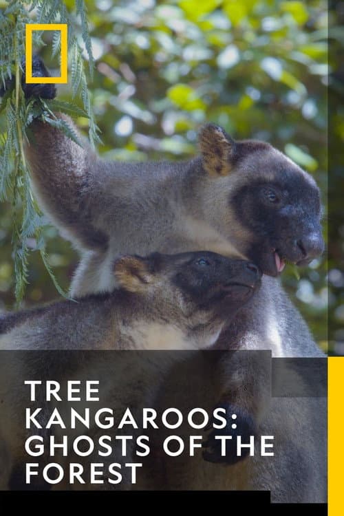 Tree Kangaroos: Ghosts of the Forest (2022) poster