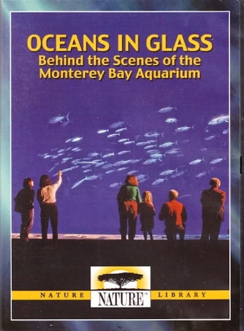 Oceans in Glass (2011) poster