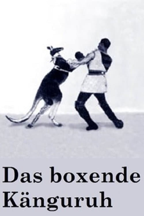 Das boxende Känguruh (1895) poster