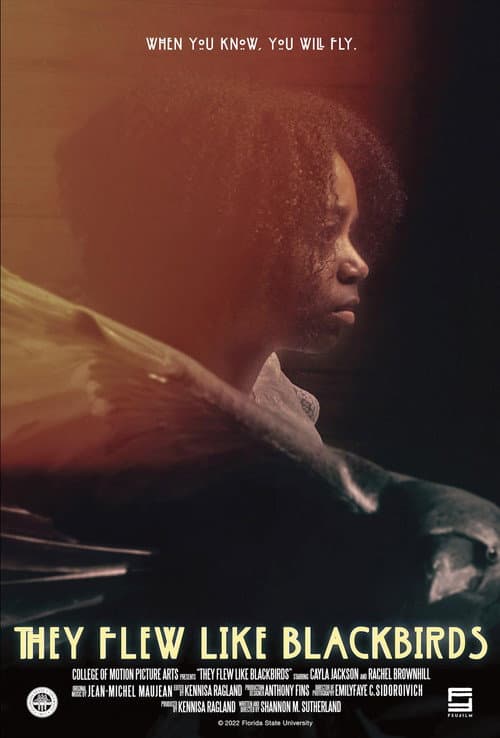 They Flew Like Blackbirds (2022) poster