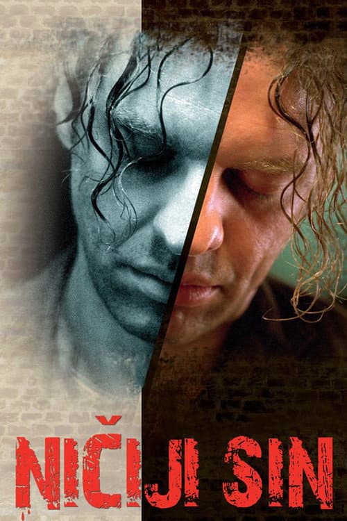 Ničiji sin (2008) poster