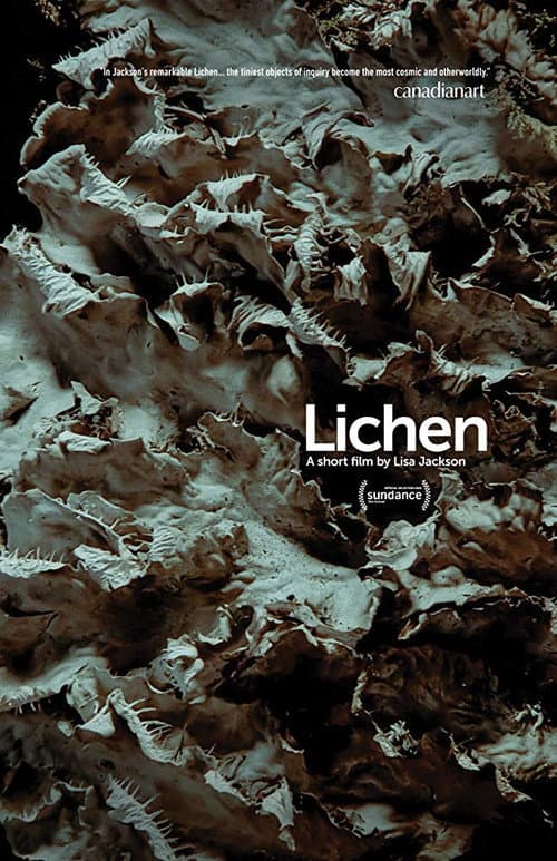 Lichen (2019) poster